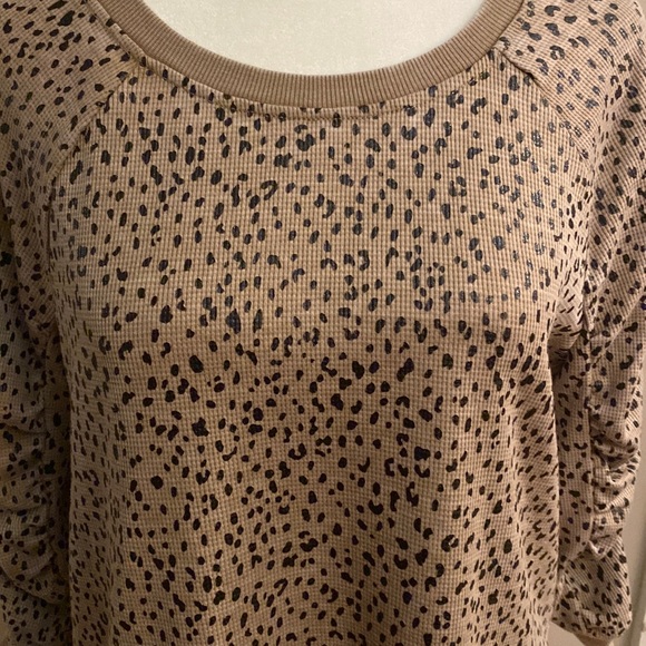 Jane and Delancey Leopard Print Waffle Knit Top with 3/4 Sleeves - Picture 5 of 11